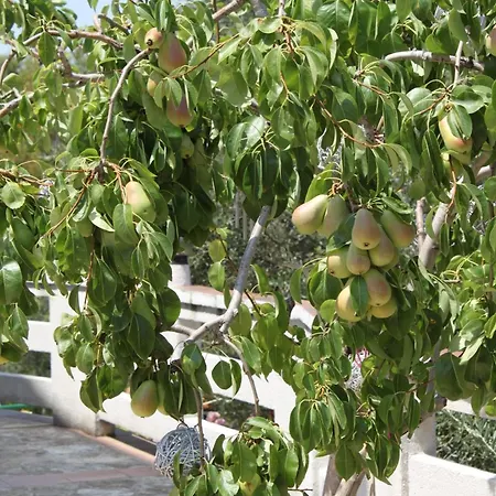 834a شقة *